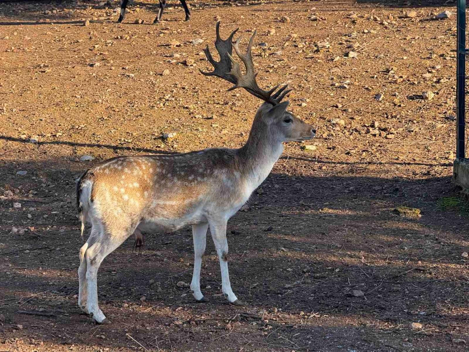 מלון Anthidon Nature Estate & Farm Chalkís